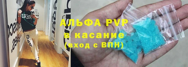 ECSTASY Горняк