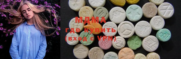 индика Горнозаводск