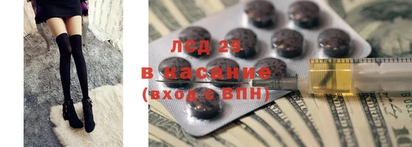 индика Горнозаводск