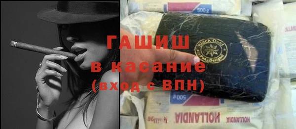 индика Горнозаводск