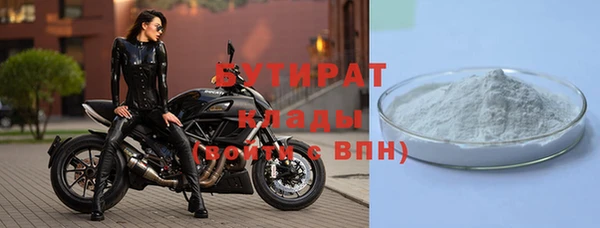 индика Горнозаводск
