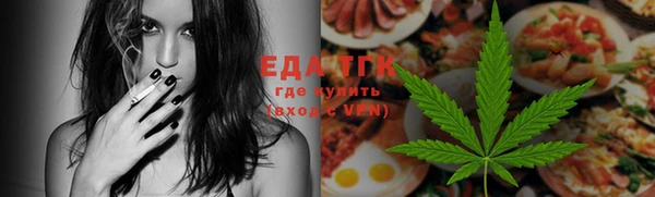 ECSTASY Горняк