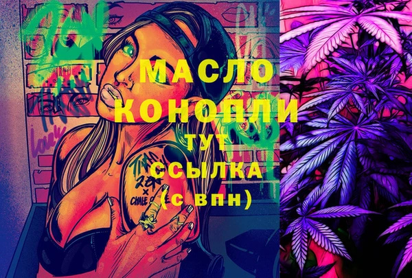 ECSTASY Горняк