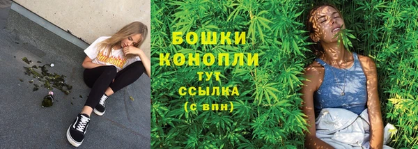 ECSTASY Горняк