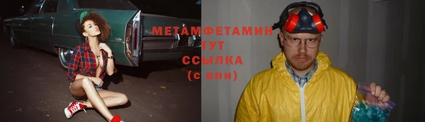 индика Горнозаводск