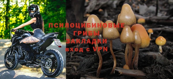 индика Горнозаводск