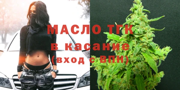 ECSTASY Горняк