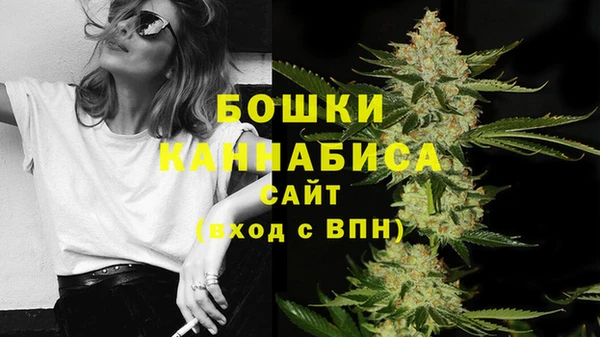 индика Горнозаводск