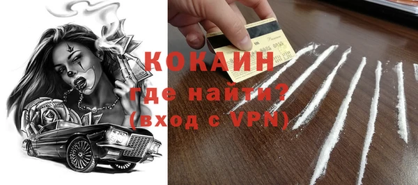 индика Горнозаводск