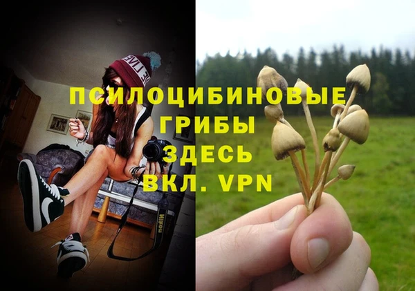 ECSTASY Горняк