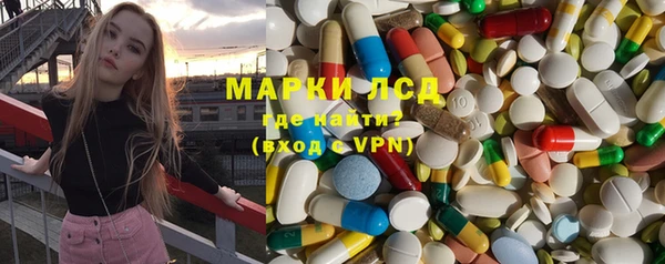 индика Горнозаводск