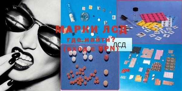 индика Горнозаводск