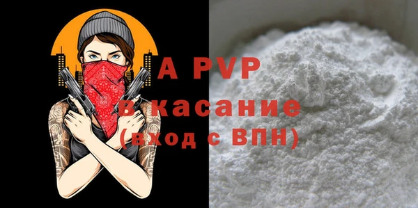 индика Горнозаводск