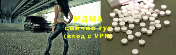 индика Горнозаводск