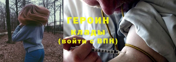 индика Горнозаводск