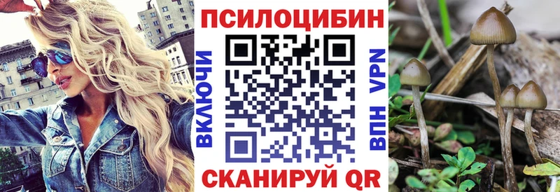 Псилоцибиновые грибы MAGIC MUSHROOMS  darknet состав  Арзамас  где можно купить наркотик 