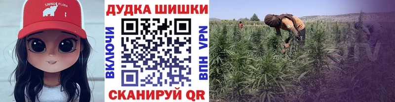 продажа наркотиков  Арзамас  Бошки марихуана планчик 